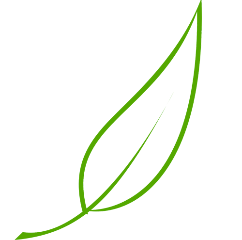 Sri Lanka is famous for Green Tea. Green tea is known as tea healthy beverage and it gives many health benefits.
